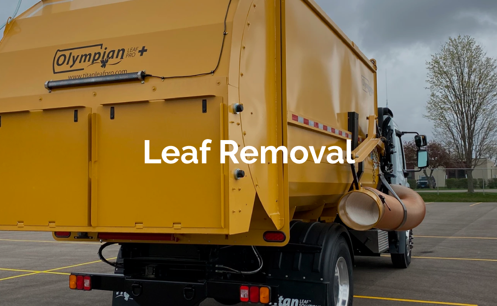 MAQ1039_Leaf-Removal-Callout_v2